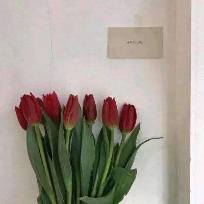 战场风云2084破解版下载